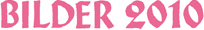 Bilder 2010